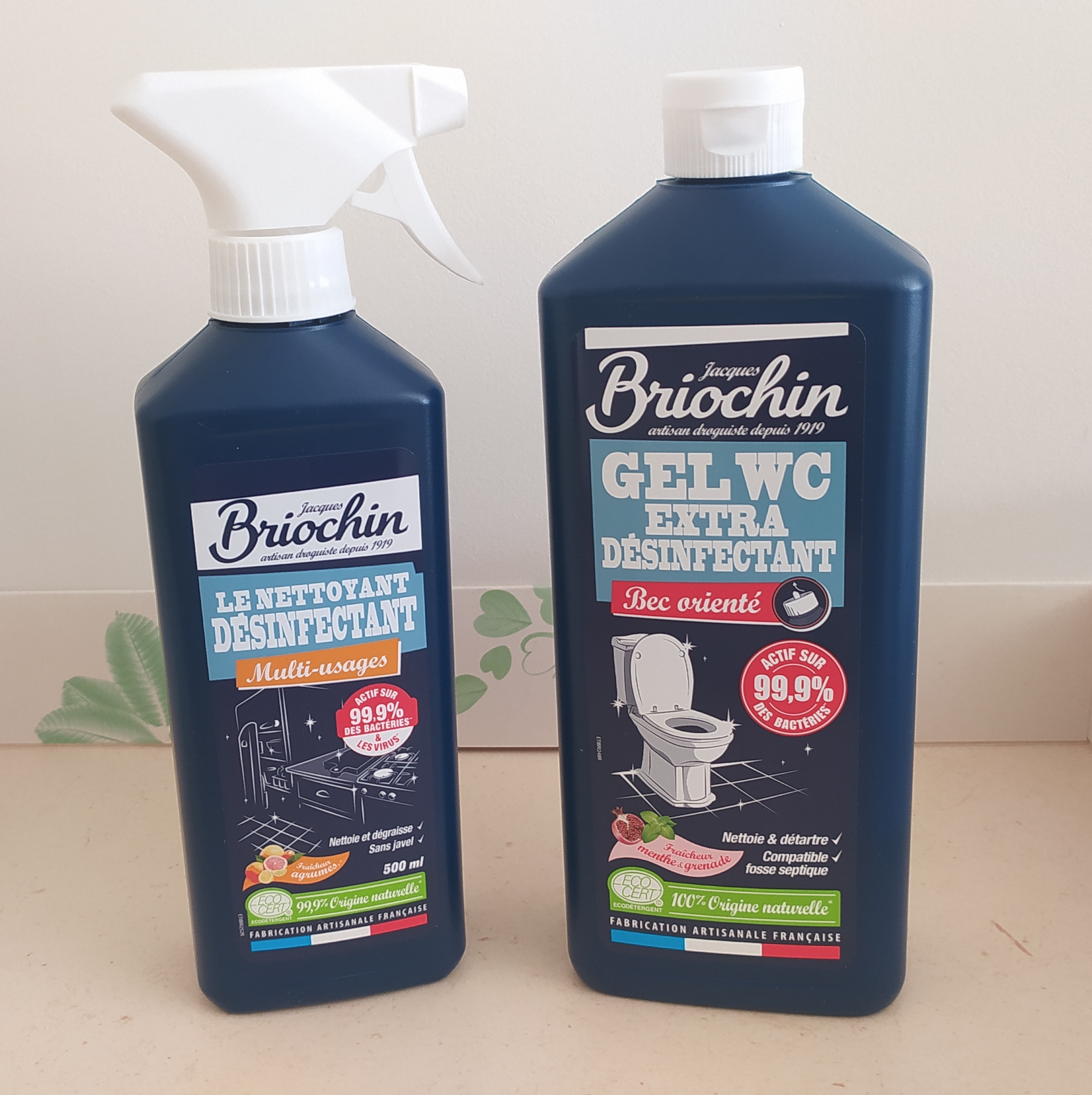 Le Briochin : produits d'entretien, de nettoyage et de cosmétiques