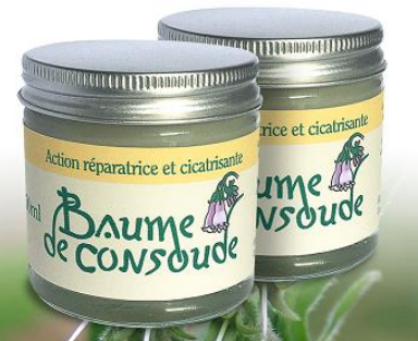 Le Baume De Consoude B-actif, Pour Soulager Les Piqûres De Moustique ...